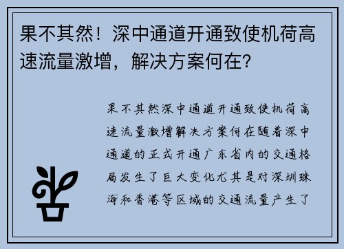 果不其然！深中通道开通致使机荷高速流量激增，解决方案何在？